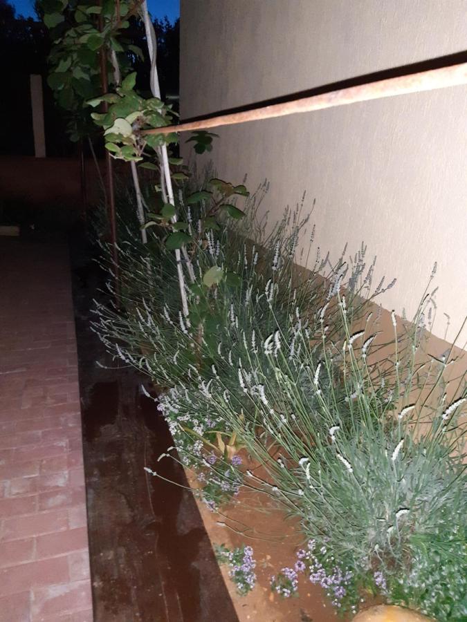 Studio Apartman San 3 Ližnjan Εξωτερικό φωτογραφία